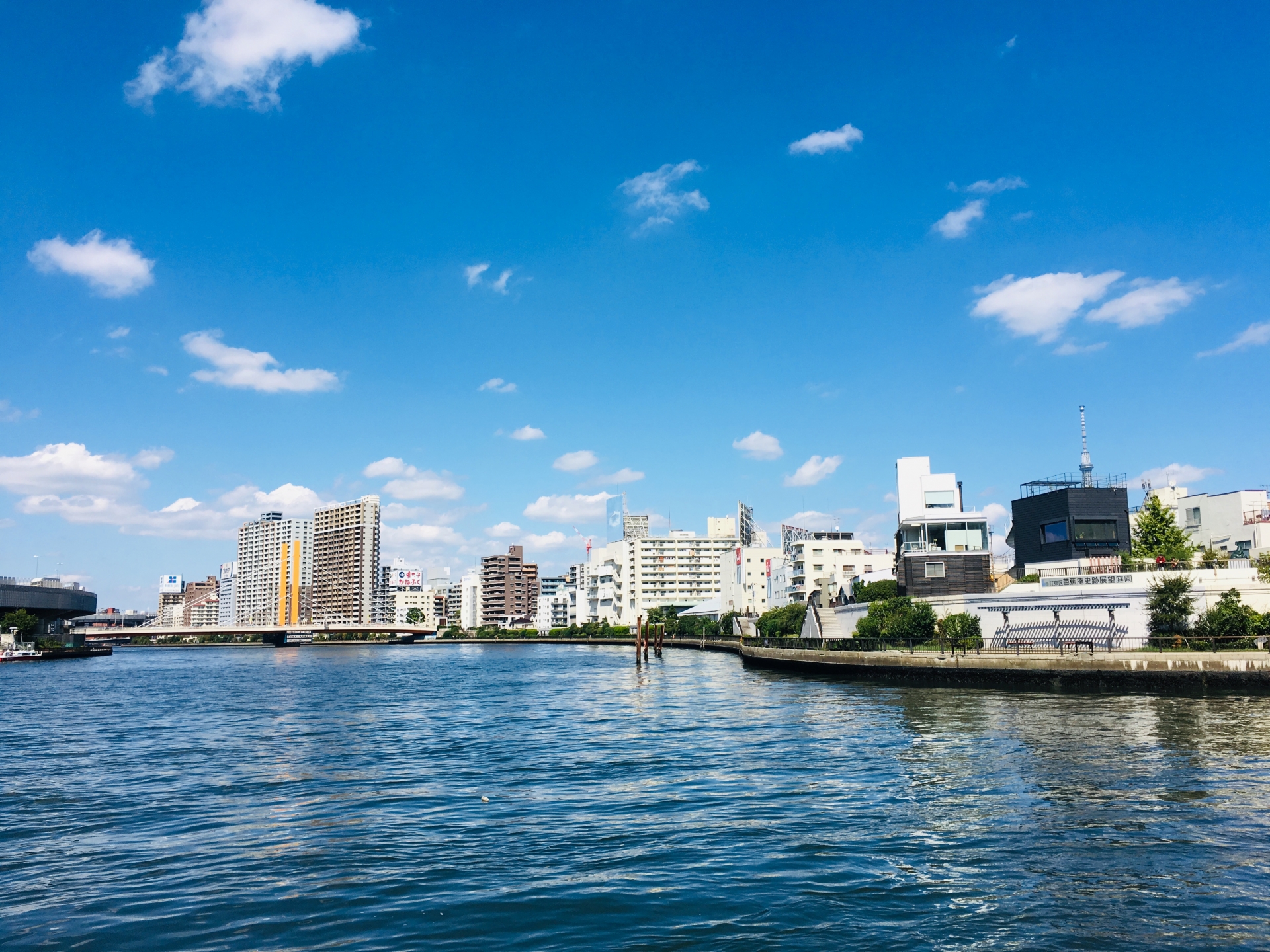 隅田川付近